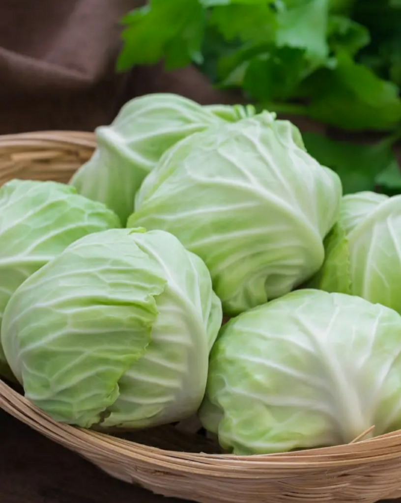 7 Sayur Lalapan, Sebagai Menu Pelengkap Makan, dan Baik untuk Kesehatan