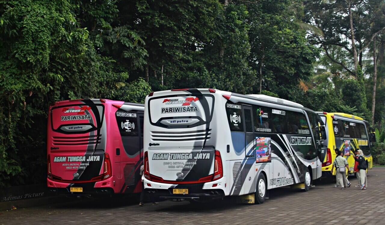 Sudiro Tungga Jaya, Dari Elf Pariwisata Sampai Bus AKAP Elkusla