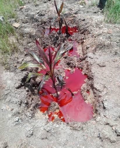Ngeri !! Air Merah Keluar Dari Dalam Tanah Pemakaman, Apa Itu Darah Dari Jasad?