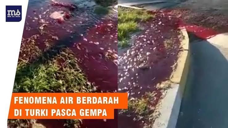 Ngeri !! Air Merah Keluar Dari Dalam Tanah Pemakaman, Apa Itu Darah Dari Jasad?