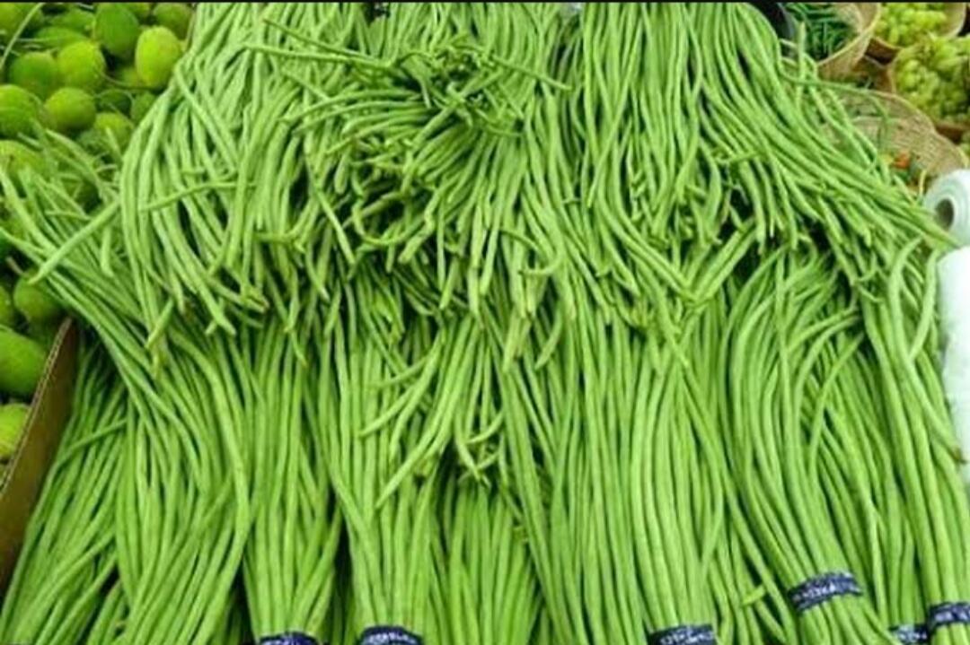 7 Sayur Lalapan, Sebagai Menu Pelengkap Makan, dan Baik untuk Kesehatan