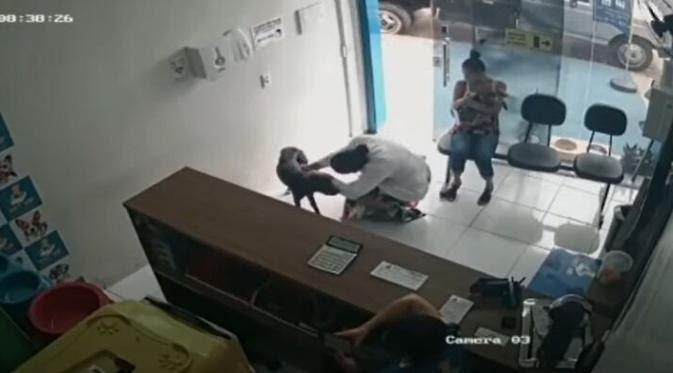 Anjing Liar Terluka Datang Ke Klinik Hewan, Respon Dokter Melayani Tulus Patut Ditiru Anjing Liar Terluka Datang Ke Klinik Hewan, Respon Dokter Melayani Tulus Patut Ditiru