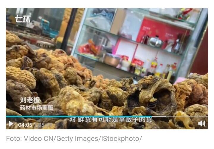 Di China, Plasenta Manusia Dijual Seperti Ayam Goreng