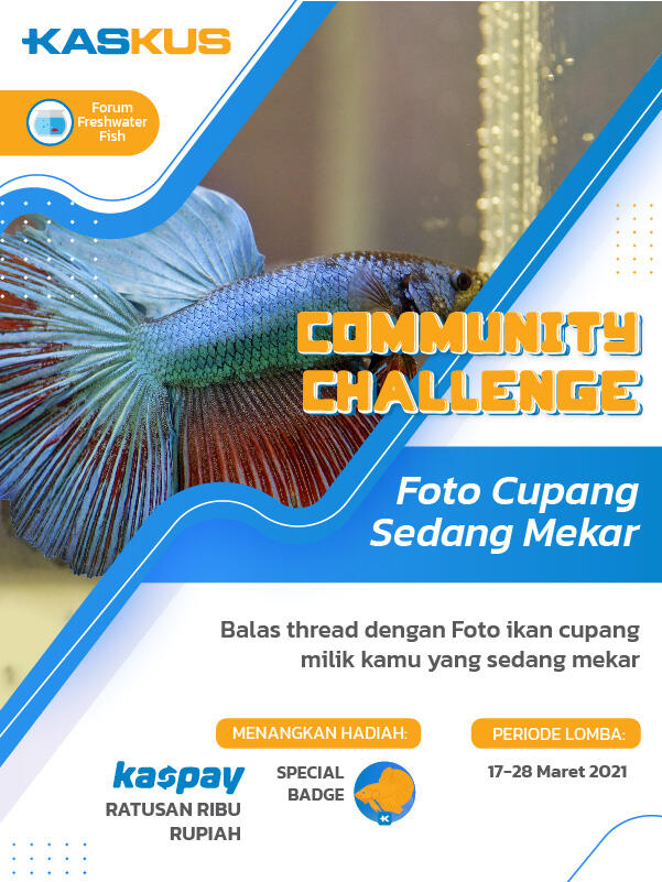 Community Challenge Waktunya Cupang Mekar Mampang