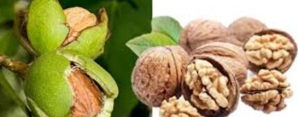 Tidak Hanya Cokelat! Buah-buahan Berikut Juga Bisa Meredakan Perasaan Marah