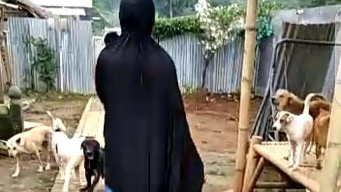 70 Anjing Peliharaannya Ditolak, Wanita Bercadar Ungkap Provokator 70 Anjing Peliharaannya Ditolak, Wanita Bercadar Ungkap Provokator