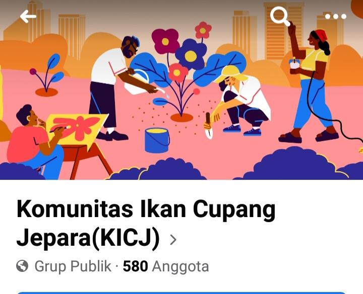 Ikan Cupang Koi Jadi Incaran Para Kolektor Ikan Hias di Jepara