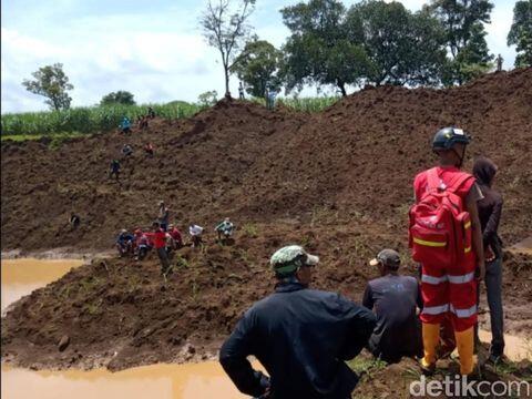 Tolong! 2 Bocah Hilang Diduga Saat Cari Bunglon di Hutan Pemalang