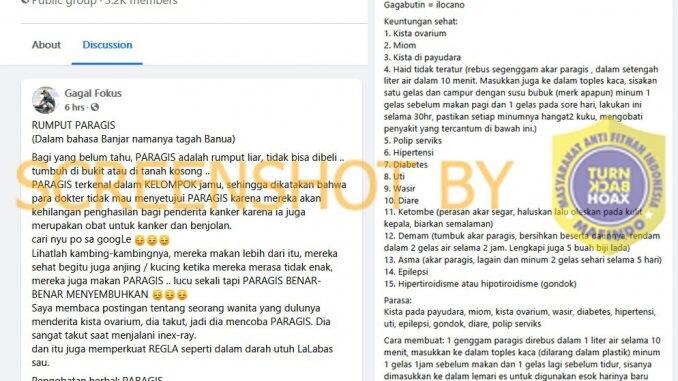 Rumput Paragis Dapat Obati Kanker