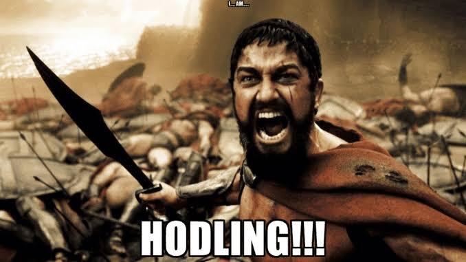 Apa itu HODL? Bitcoin