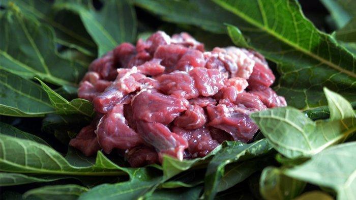 Daun Pepaya Bikin Daging Empuk? Cek Faktanya Di Sini!