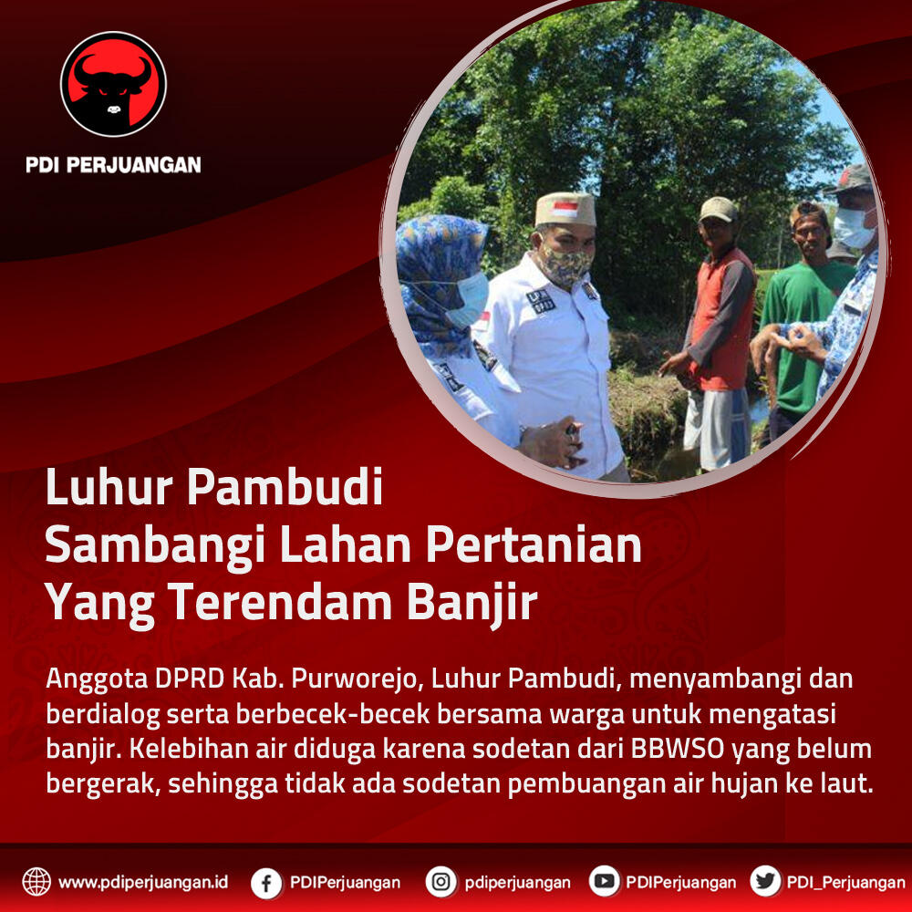 Luhur Pambudi Sambangi Lahan Pertanian yang Terendam Banjir Di Purworejo