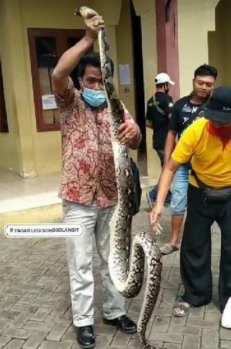 MENAKJUBKAN DAN MENGERIKAN 5 KEJADIAN YANG TAK TERDUGA INI !!!
