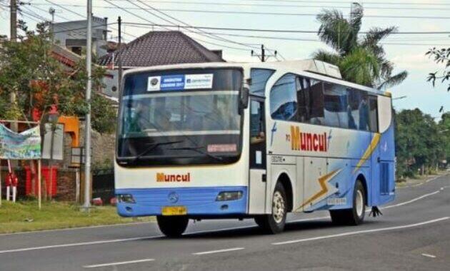 Sejarah PO Muncul - Namanya Mirip Merek Jamu, Inilah Pencetus Leg Rest Pada Bus