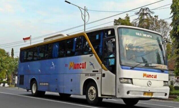 Sejarah PO Muncul - Namanya Mirip Merek Jamu, Inilah Pencetus Leg Rest Pada Bus