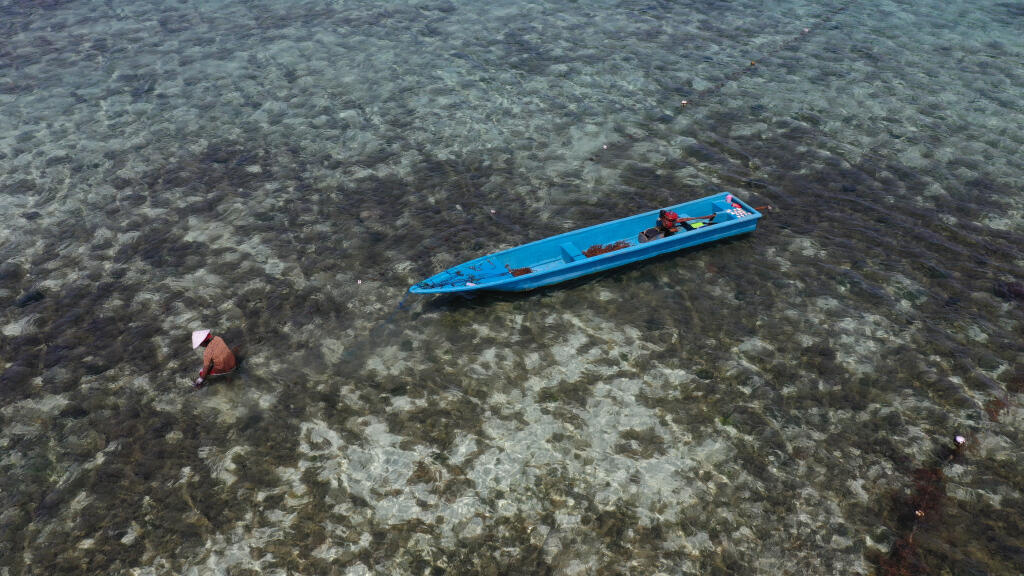 Putihnya Pasir Pantai Ngurtafur Bikin Wow!