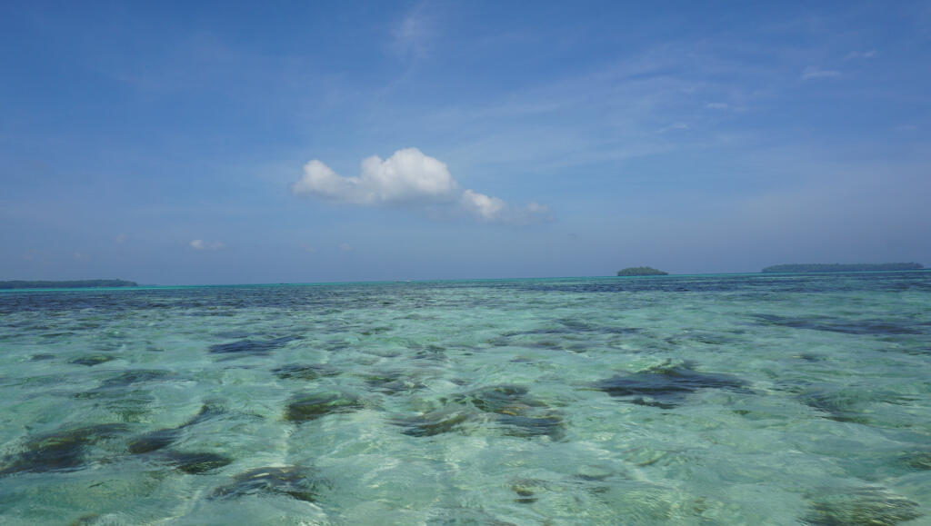 Putihnya Pasir Pantai Ngurtafur Bikin Wow!