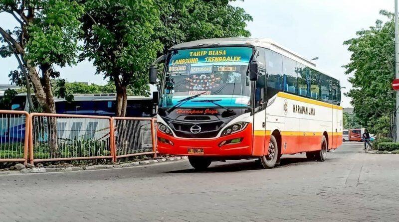 Hino AK8, Sasis Balap Andalan Bus Ekonomi Pulau Jawa