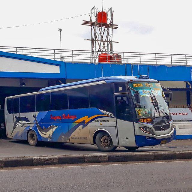 Hino AK8, Sasis Balap Andalan Bus Ekonomi Pulau Jawa