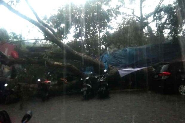 Diterjang Hujan Lebat Pohon Tumbang Timpa Warung Makan di Bandung, 5 Warga Terluka