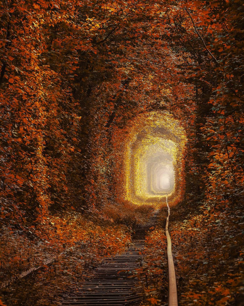 Tunnel of Love Ukraina, Terowongan Paling Romantis di Dunia, Favorit Para Pasangan