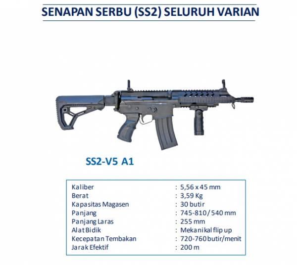 Ini Spesifikasi Senjata SS2 yang Akan Digunakan untuk Latihan Komcad