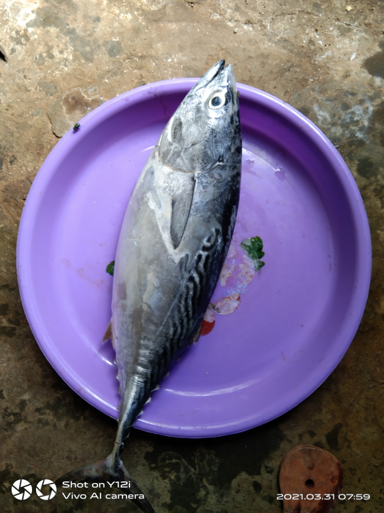 Ikan Tongkol Masak Kuah Asam Pedas, Bikin Mata Melek Seketika