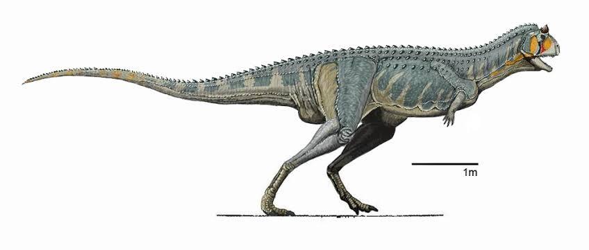 Penemuan Fosil Dinosaurus Spesies Baru &quot;Llukalkan&quot; Ditemukan di Argentina