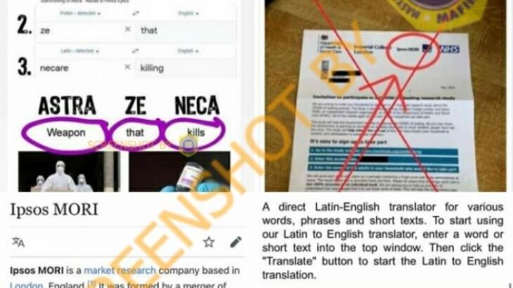 Ekstrak Buah Nanas Jadi Obat Corona