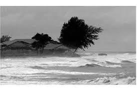 Badai Besar Masih Menghantam NTT, Setop Bahas kimpoian Artis