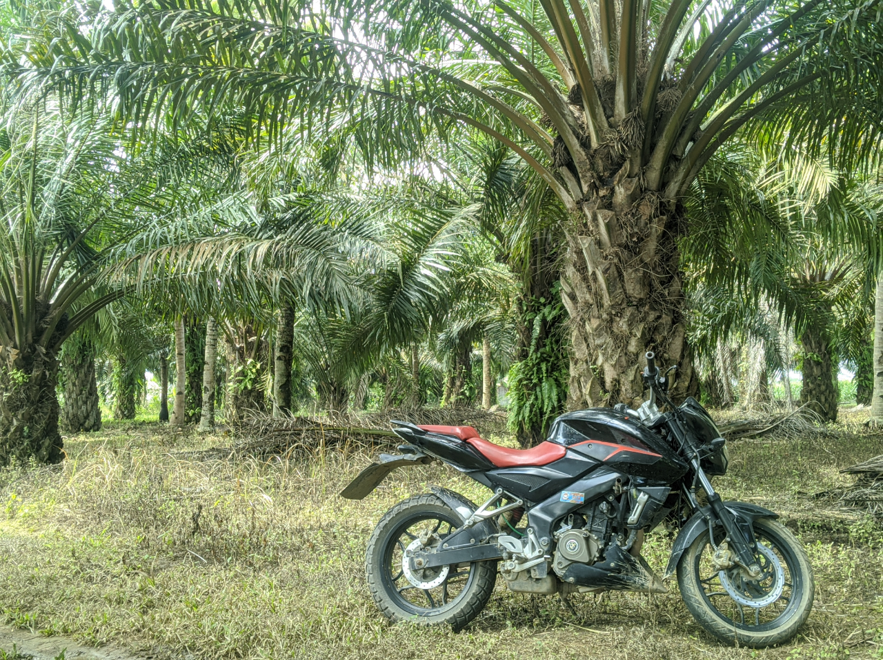 Bajaj Pulsar 200ns Kualitas Mesin Bandel