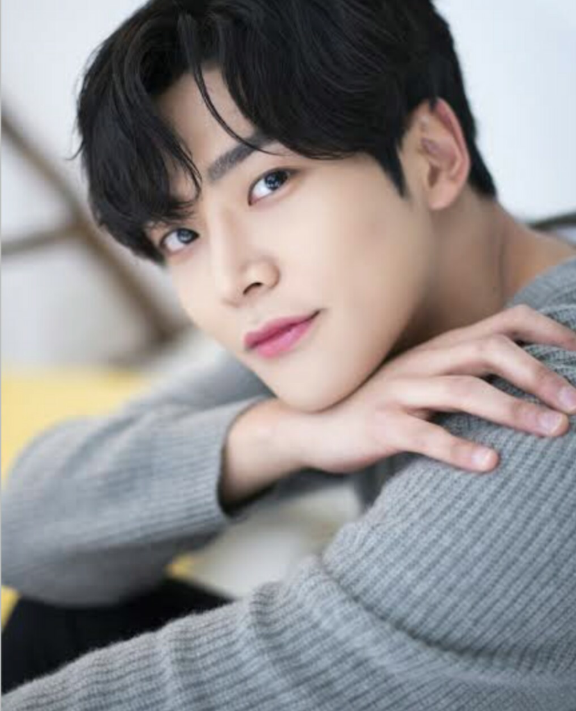 Rowoon Akan Bermain Dengan Kim Hee Sun Di Drama Baru!