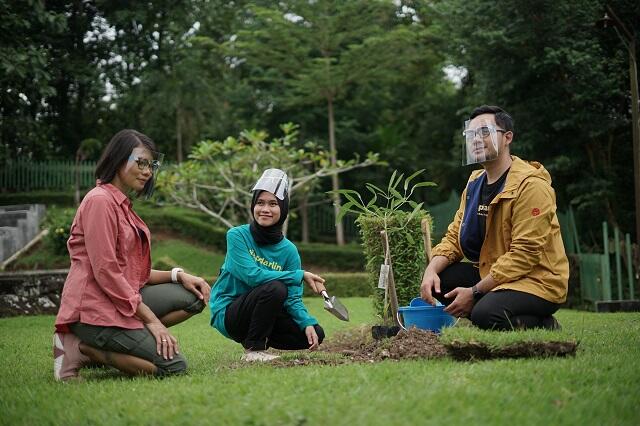 Baru Tau, Tanam Pohon di Lingkungan Candi Tak Boleh Ngasal