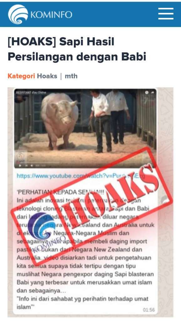 Persilangan Antara Babi Dengan Sapi, Hoaxkah?
