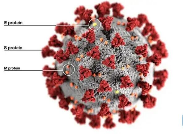 Bentuk Virus Corona di Perbesar 2.600 kali? Hoax Ter-Koyol !!