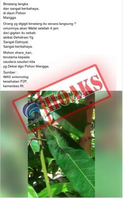 Mitos Menjadi Fakta Karena Berita Hoaks, Gansiskah Salah Satu Penyebarnya?