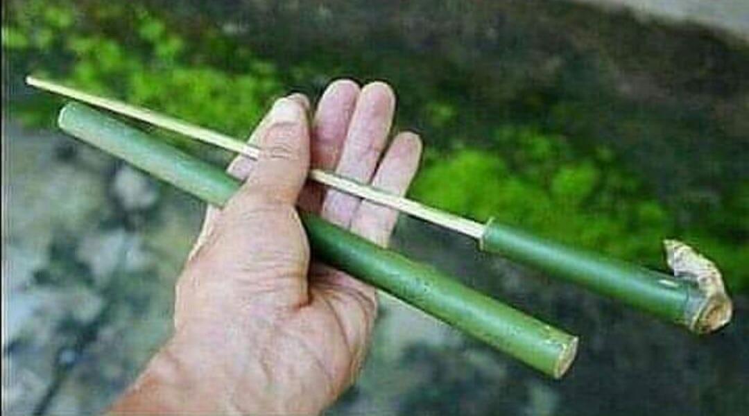 Gagal Mudik? Yuk Nostalgia Sedikit Tentang Kampung Halaman!