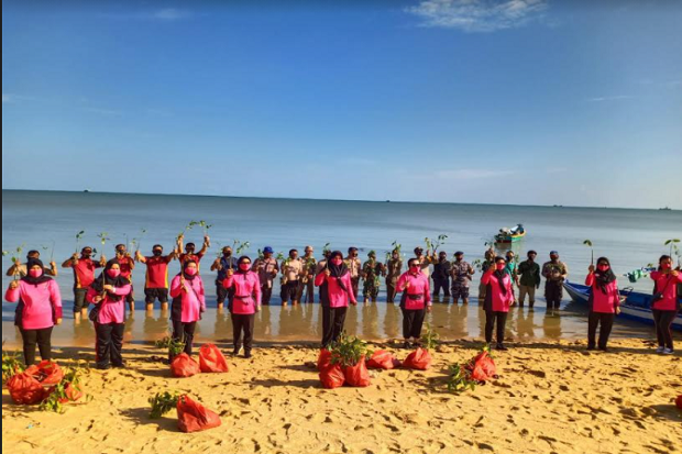Polres Bangka Barat dan UPTD KPHP Rambat Menduyung Tanam Ribuan Mangrove