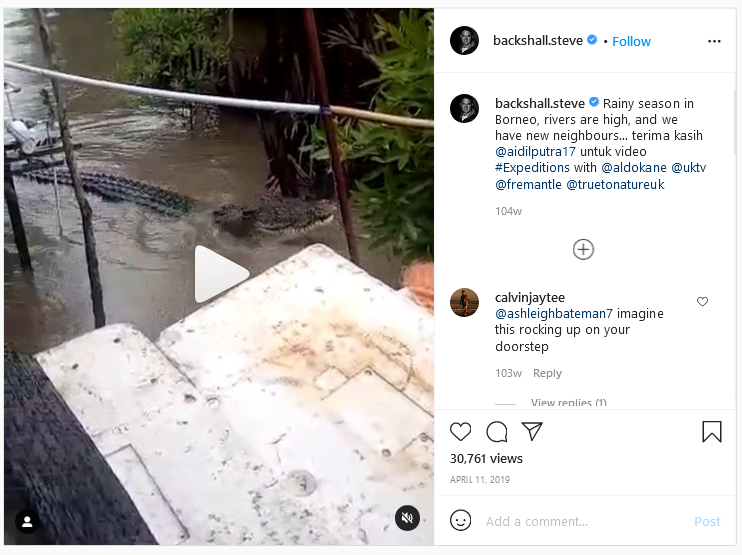 Hoax Buaya Masuk Ke Perkampungan Saat Banjir di NTT