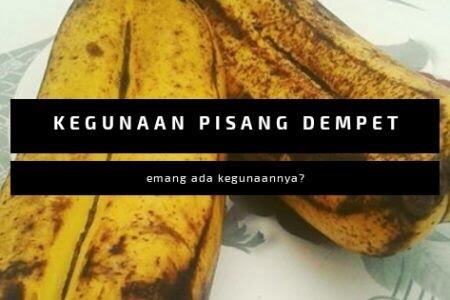 Punya Anak Kembar Haruskah Memakan Pisang Dempet Apakah Fakta