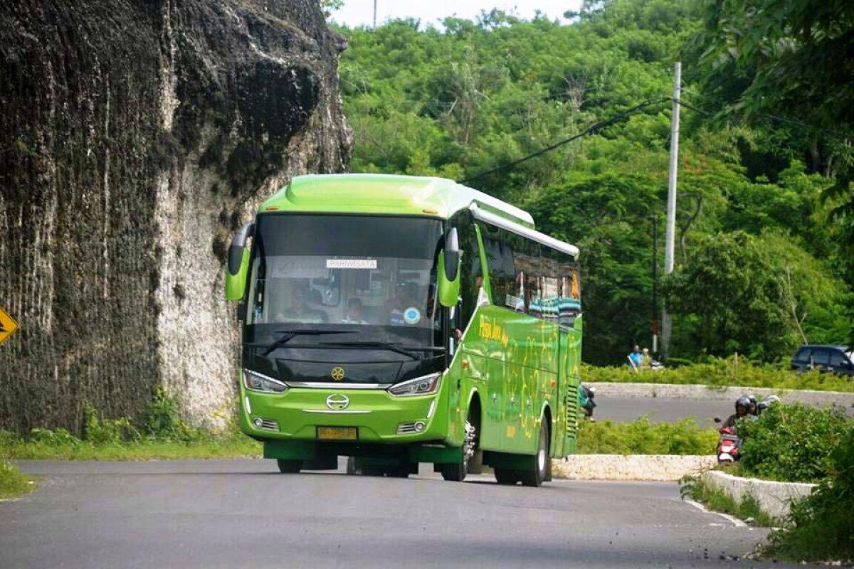 Lebih Dekat Dengan Puspa Jaya, Kamboja Hijau Pelari Lintas Tiga Pulau