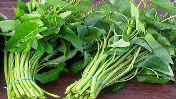 Makan Kangkung Bisa Bikin Ngantuk, Ternyata Oh Ternyata..