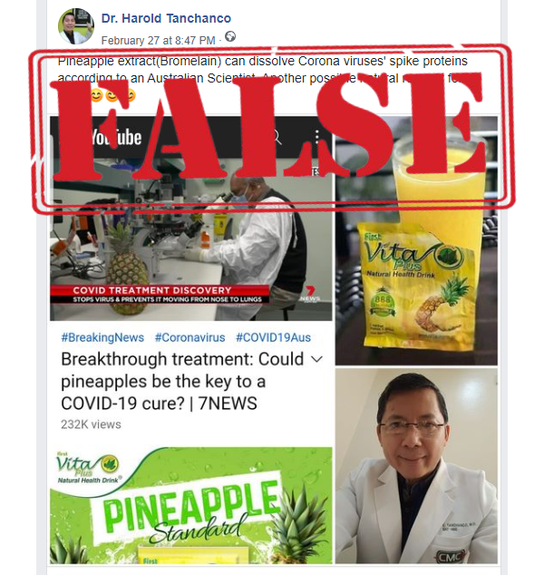 Jangan Percaya Ya, Hoax Tentang Buah Nanas Yang Katanya Dapat Menyembuhkan Corona