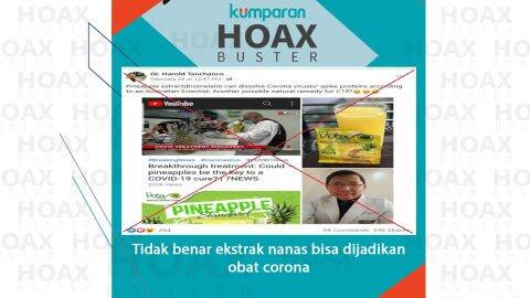 Jangan Percaya Ya, Hoax Tentang Buah Nanas Yang Katanya Dapat Menyembuhkan Corona