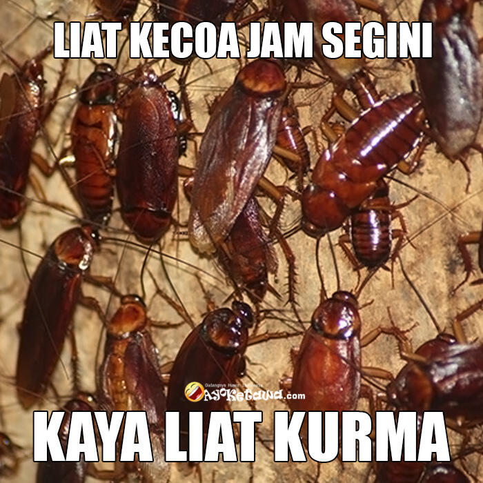 Jokes Cringe dan Basi Bulan Ramadhan (1)