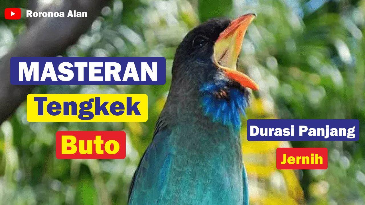 Masteran Tengkek Buto Durasi Panjang Jernih
