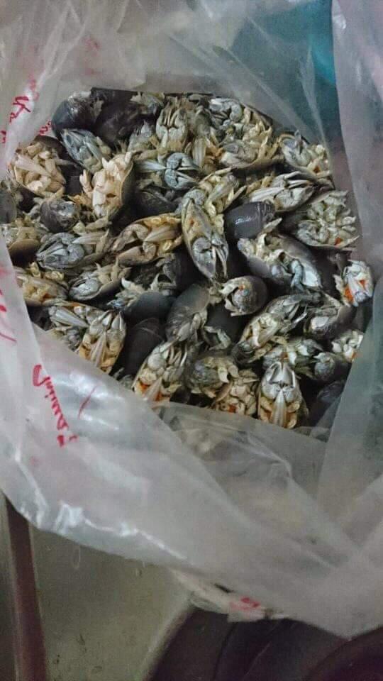 Papajar, Ngabuburit, Dulag dan Khataman, Tradisi Ramadhan Unik Khas Cianjur 