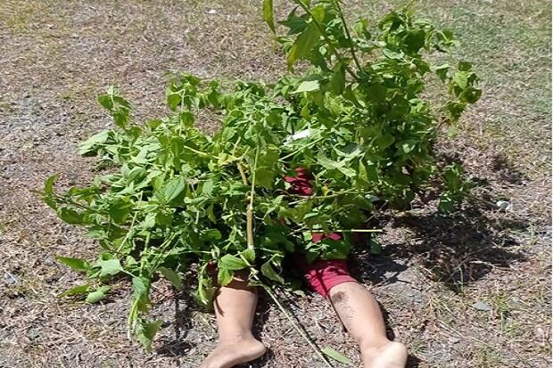 Sekeluarga Jadi Korban Tabrak Lari! Anak dan Ayah Tewas, Sang Ibu Sekarat