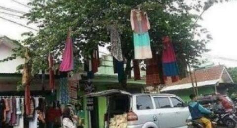 Jualan Gamis Di Atas Pohon, Siapa Yang Beli?