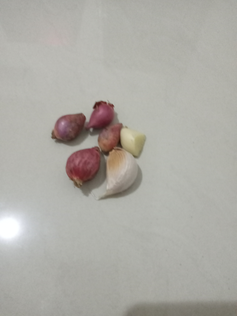 Nasgor SS, Nasi Goreng Sederhana Sekali Ala Anak Kos Tanpa Terasi Dan Cabe Merah